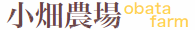 head_logo